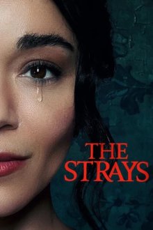 The Strays | ولگردها